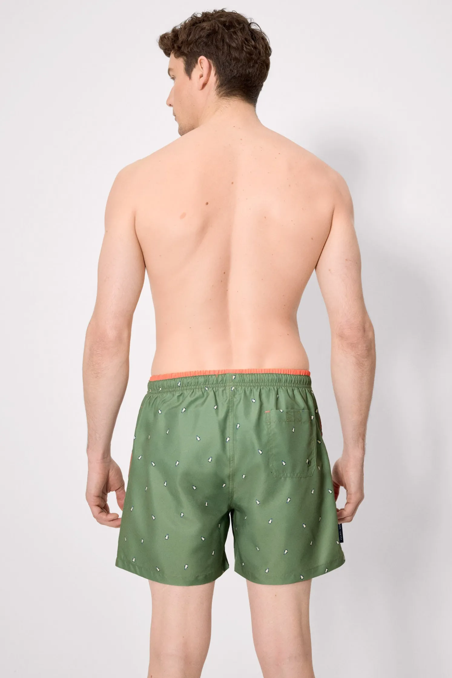 Bañador medio estampado pingüinos verde