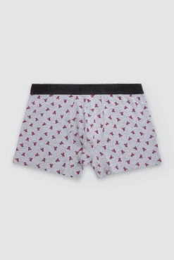 Pack 6 bóxers estampado animales