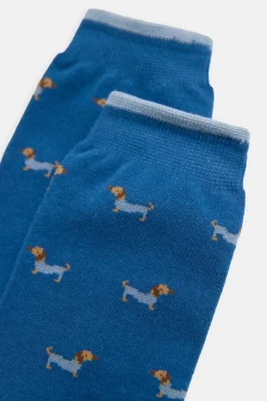 Pack bóxer y calcetín estampado perro salchicha