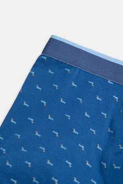 Pack bóxer y calcetín estampado perro salchicha