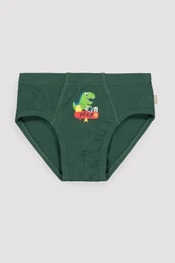 Pack de 2 slips infantiles estampado dinosaurios